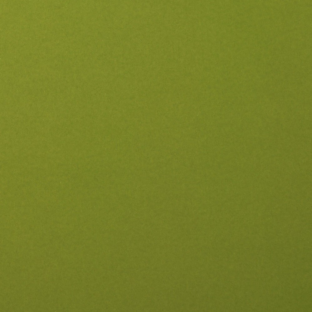 Olive - Florence Cardstock Smooth