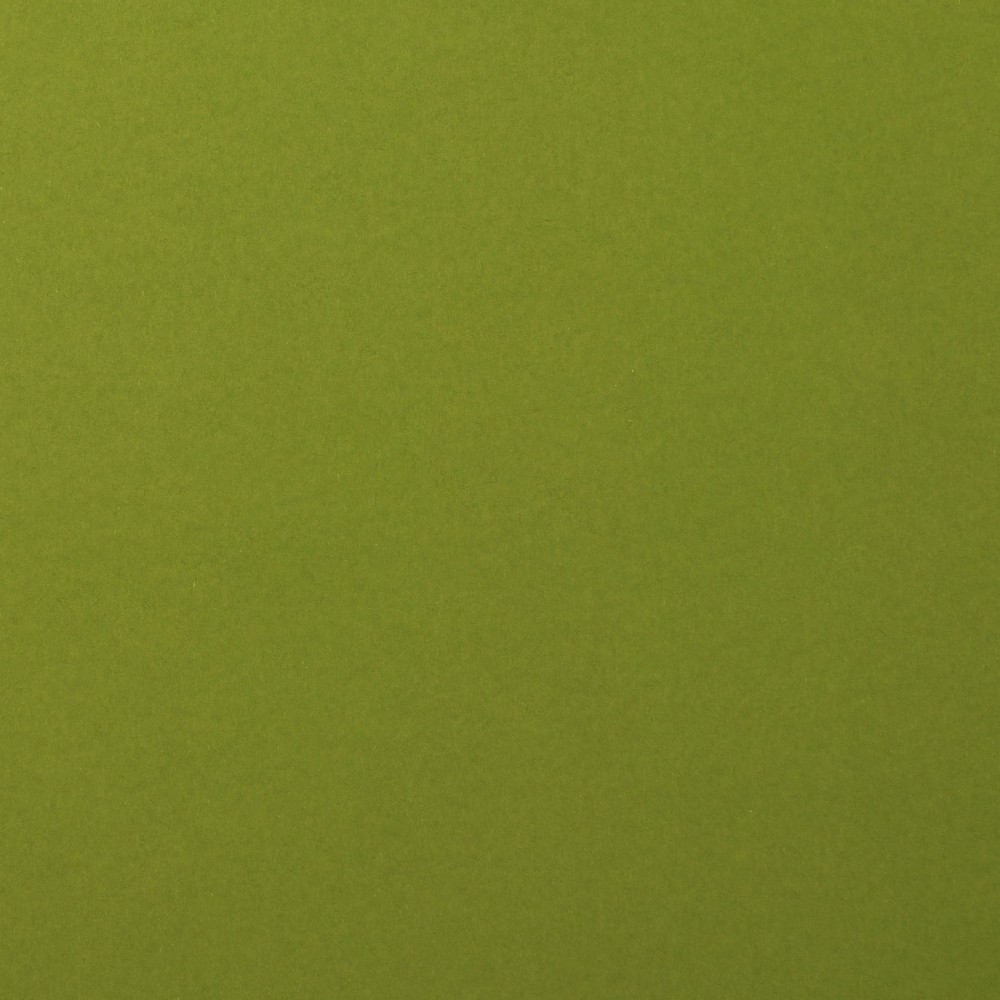 Olive - Florence Cardstock Smooth