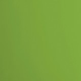 Frog - Florence Cardstock Smooth