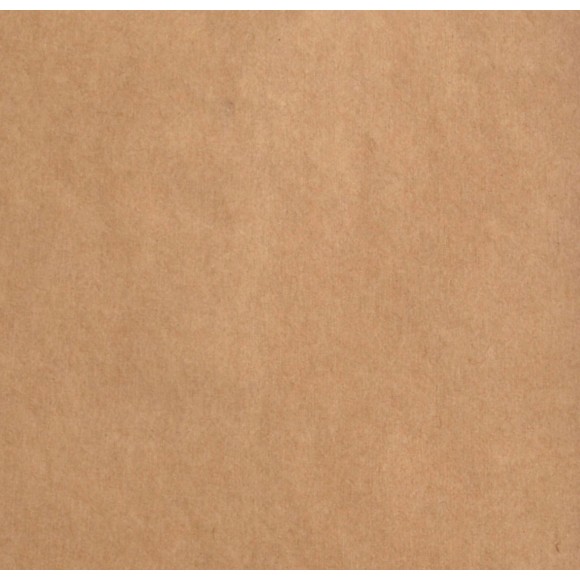 Florence Cardstock kraft smooth 30,5x30,5cm - zum Schließen ins Bild klicken