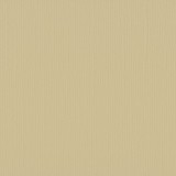 Salamander - Florence Cardstock Textured 30,5x30,5 Salamander - Florence Cardstock Textured 30,5x30,5